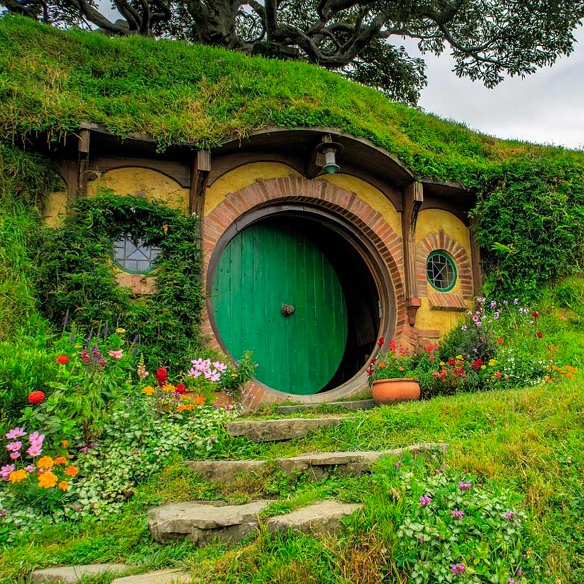 Hobbit day ecco la guida di viaggio per gli amanti della Terra di