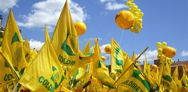 Coldiretti: “Il 19 marzo agricoltori in piazza per difendere la salute degli italiani” - Ore12